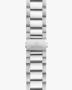 Omega Seamaster Aqua Terra 41mm Master Quality Watch – Silver Dial & Stainless Steel Bracelet