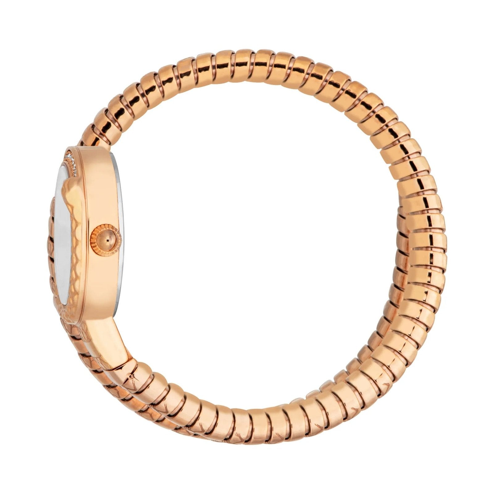 Just Cavalli Signature JC1L301M004 Women's Quartz Watch – Signature with Silver Stainless Steel Bracelet