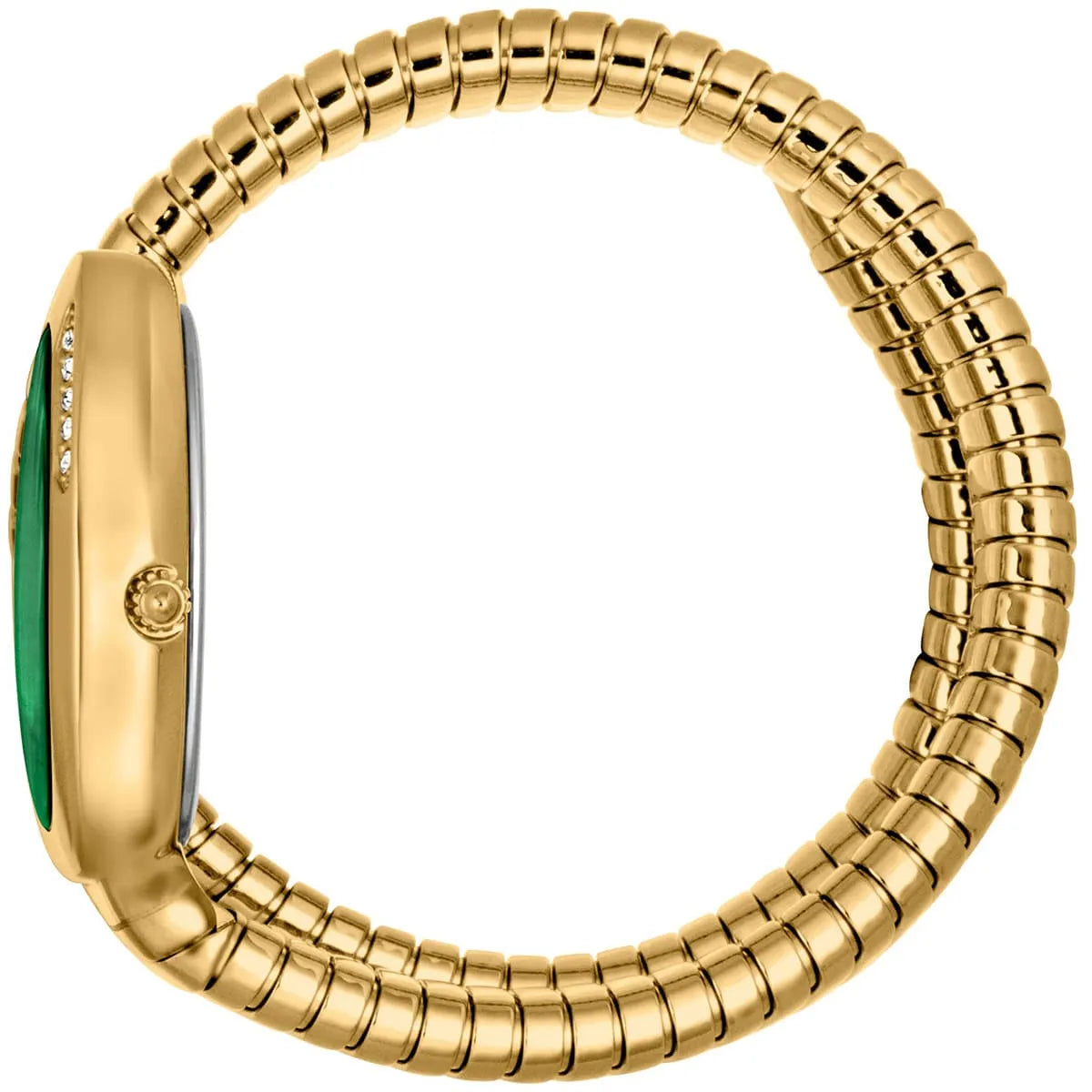 Just Cavalli Signature Snake JC1L229M0035 32mm Women's Quartz Watch – Green with Gold Stainless Steel Bracelet
