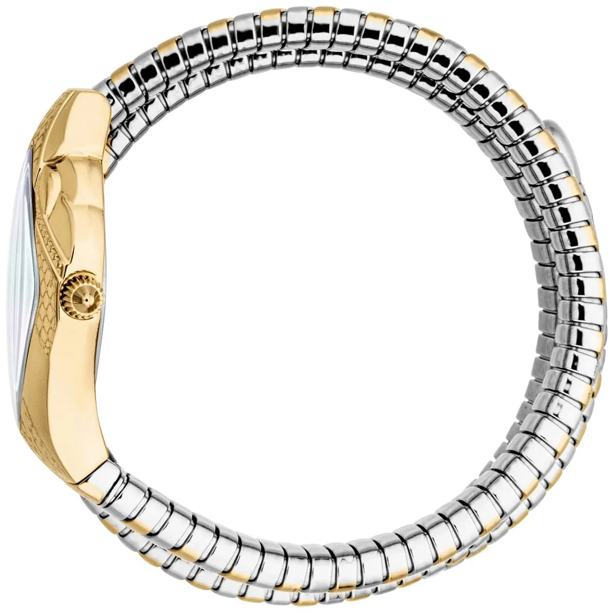 Just Cavalli Signature Snake JC1L230M0045 22mm Women's Quartz Watch – Silver with Silver & Gold Stainless Steel Bracelet